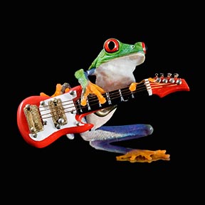 Electric_Frog