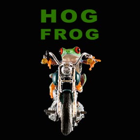 Hog Frog_TEXT