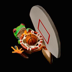 Hoop Frog