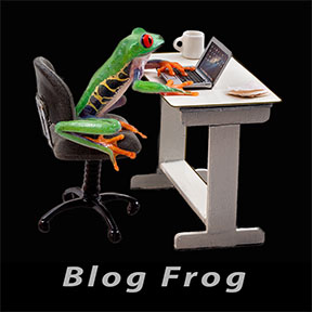 Blog Frog_TEXT_Bottom