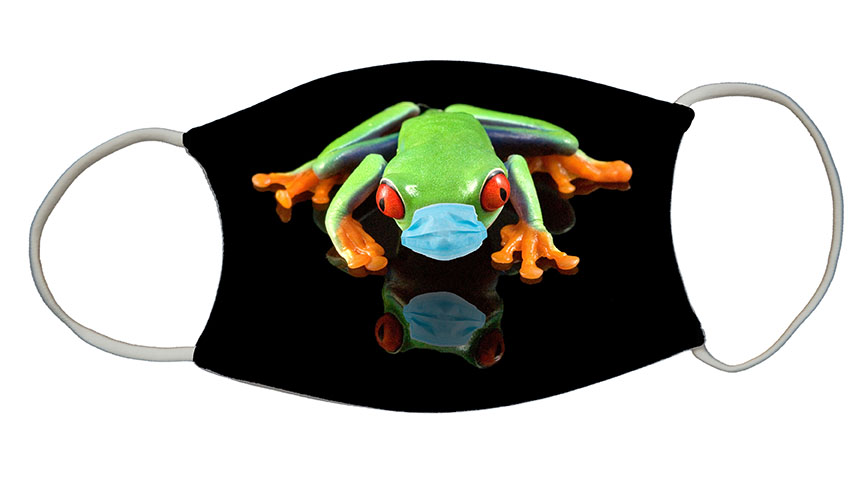 Frog with Mask 4